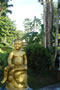 Wat Yansangwararam Buddhist Temple And Meditation Center 034