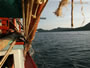Fishing At Koh Krok And Koh Larn Pattaya