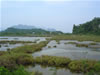 Kui Buri National Park 8998
